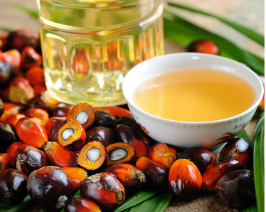 Palm oil mill